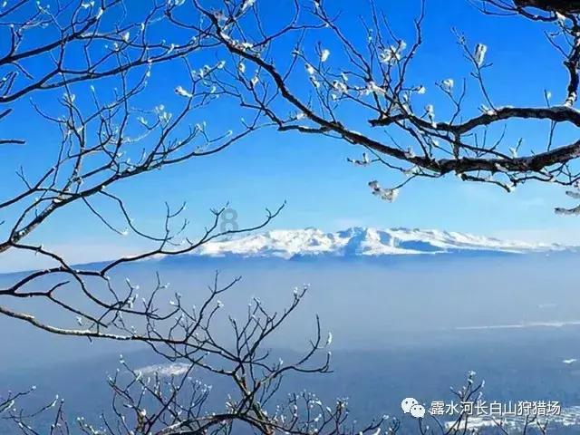 迪丽热巴对时尚的自信感来源于哪里?-专业有问必答平台